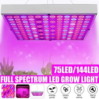 Новый светодиодный светильник для выращивания 2000/8000 Вт, фитолампа для выращивания комнатных растений, лампа для выращивания цветов